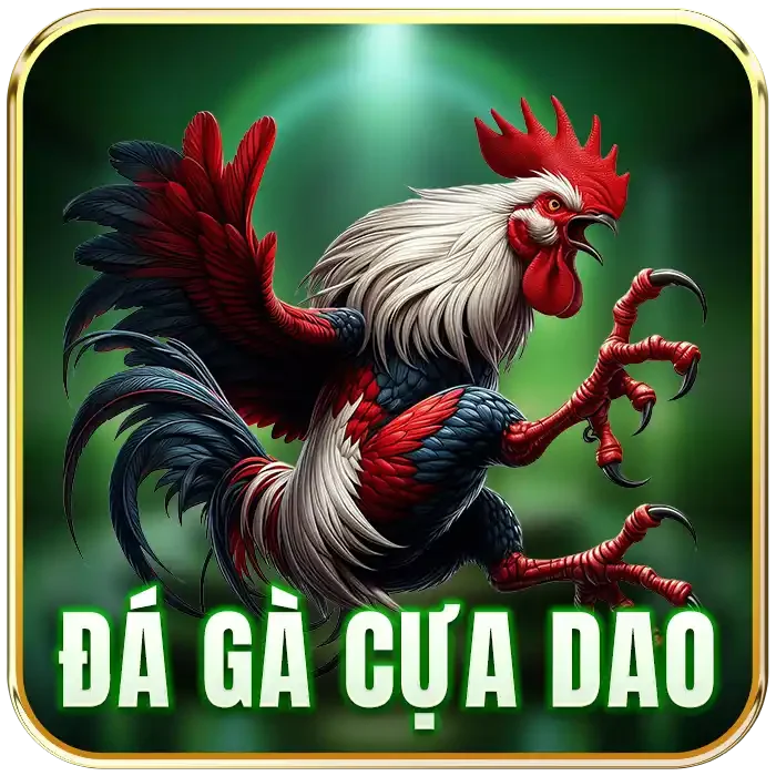 dh88-da-ga-cua-dao